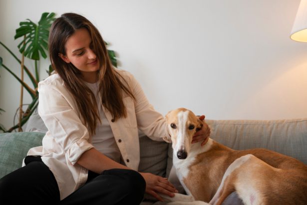 Pet sitter à la maison : pourquoi la garde à domicile séduit de plus en plus de propriétaires d'animaux ?