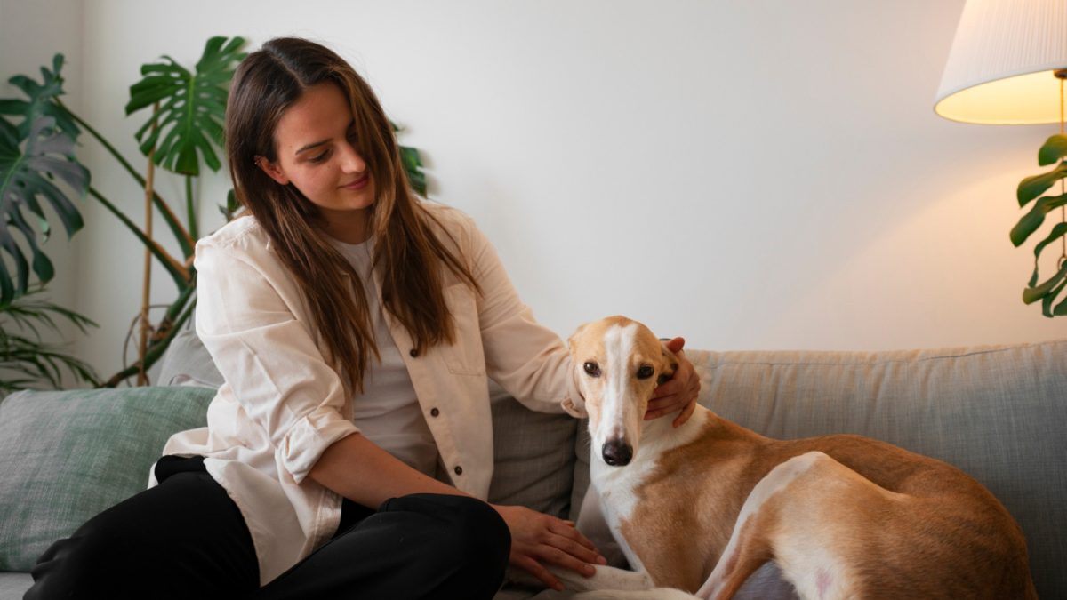 Pet sitter à la maison : pourquoi la garde à domicile séduit de plus en plus de propriétaires d'animaux ?